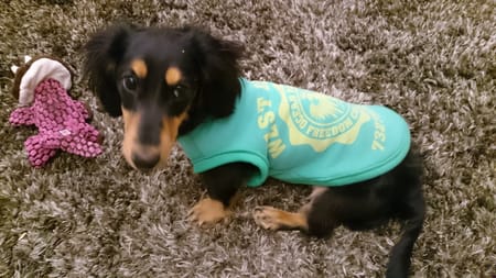 marotan3336さんの作品