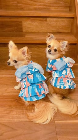 anirokitchenさんの作品