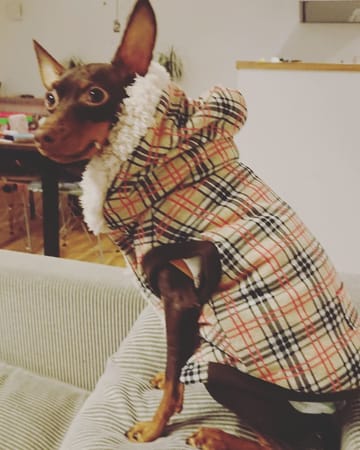 ちょこくろさんの作品