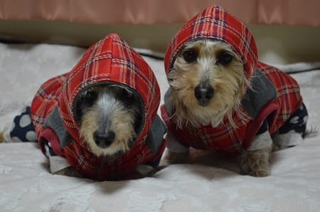 ひなはなさんの作品