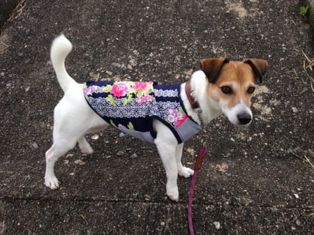 ★ADELE★さんの作品