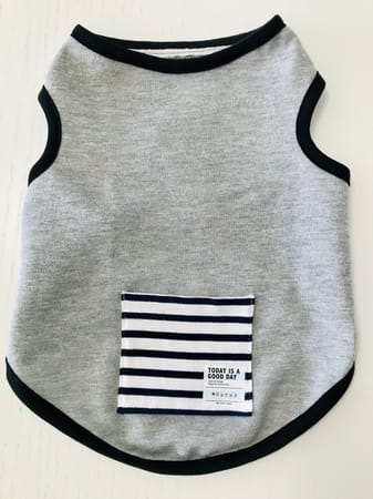 tamaharuさんの作品