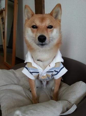 ナツ色さんの作品