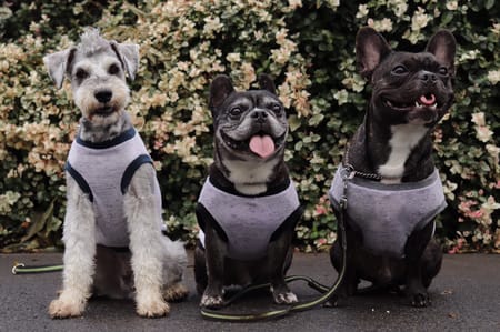 ちびっこさんの作品