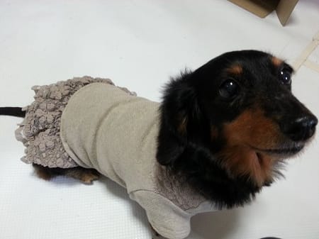 ライさんの作品