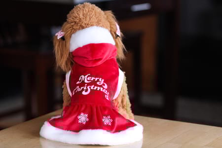 Princessmiyaさんの作品