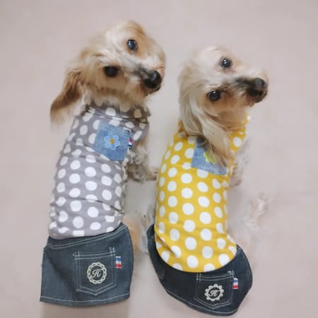 ひなはなさんの作品