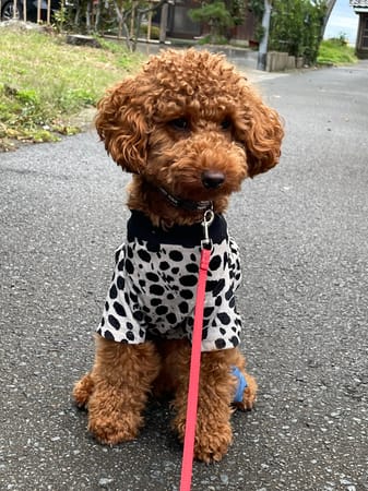 yukichiさんの作品