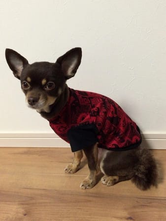 ゆずさんの作品