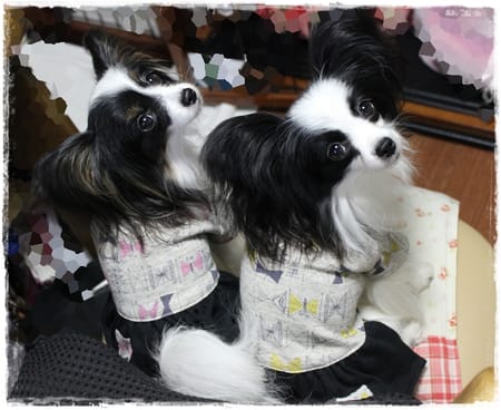 依音さんの作品