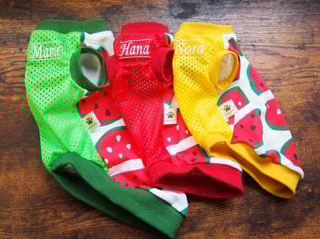 mamehanasoraさんの作品