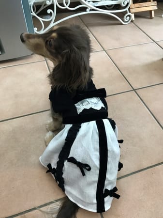 みにくろりんさんの作品