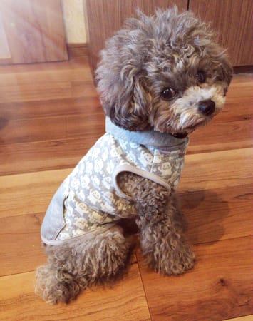 ちあきままさんの作品