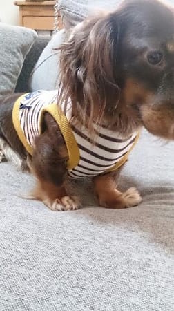 moka-zuさんの作品