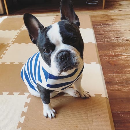 ころすけさんの作品