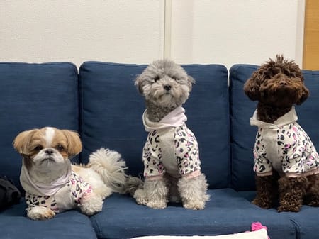 ハンドシェイクさんの作品