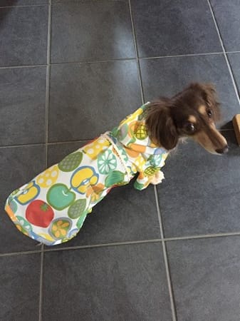 みにくろりんさんの作品