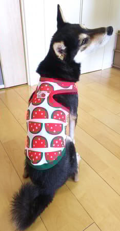 こたさんの作品