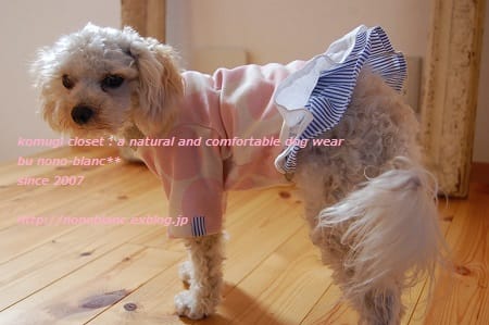 こむぎさんの作品