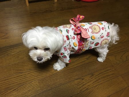 柚子さんの作品