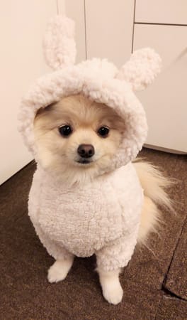 にこママさんの作品