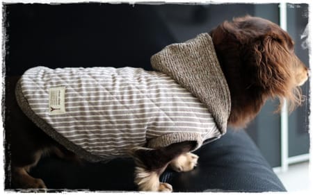 akizoo88さんの作品