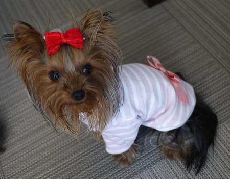 maririnhahaさんの作品