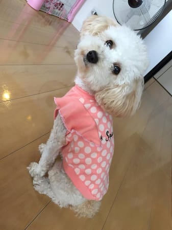 かんれいさんの作品