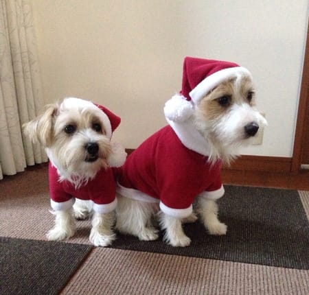 randymikioさんの作品