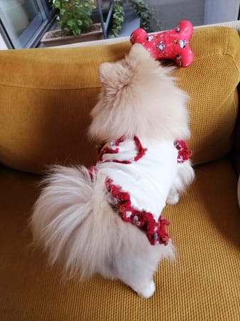 にこママさんの作品