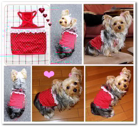 なおまろんさんの作品