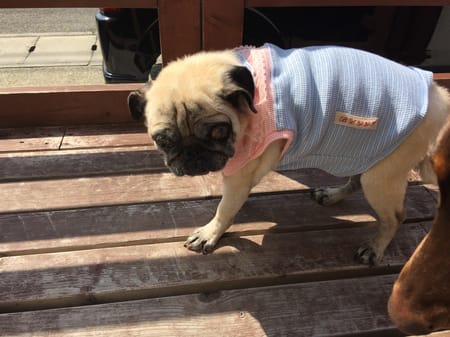 Aliceさんの作品