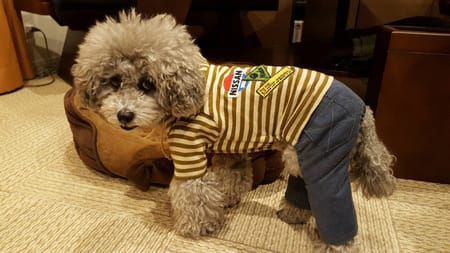 みちもこさんの作品