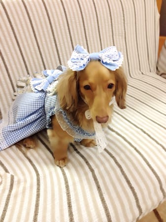 cocoa3さんの作品