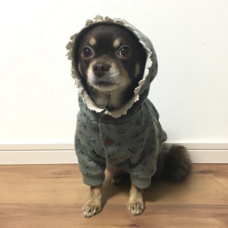 ゆずさんの作品