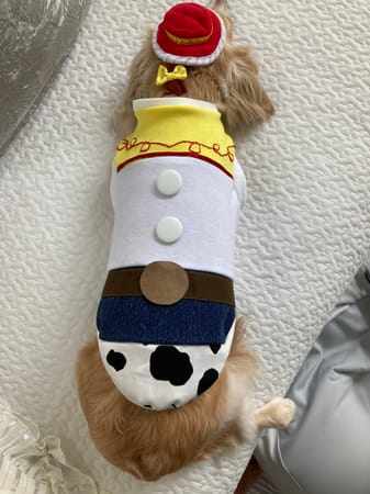 チーママさんの作品