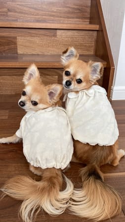 anirokitchenさんの作品