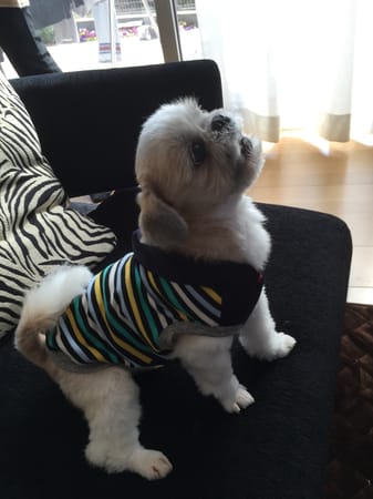 hananonnさんの作品