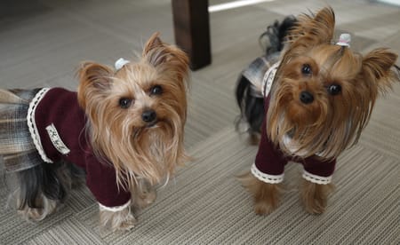 maririnhahaさんの作品