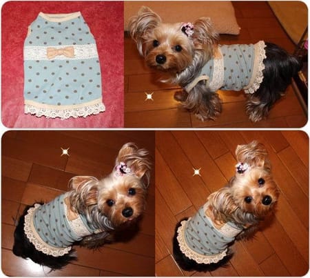 なおまろんさんの作品