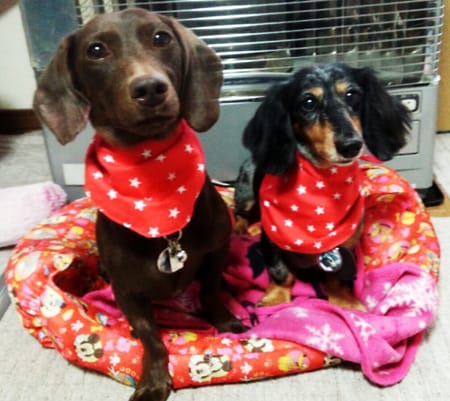 ☆瀬奈☆さんの作品