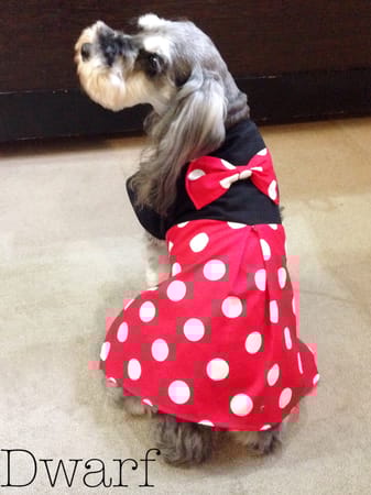 Dwarfさんの作品