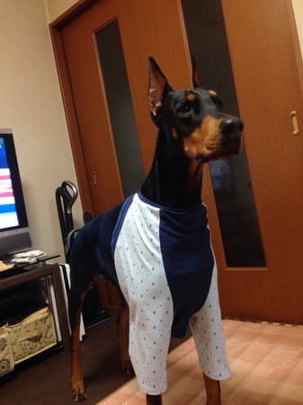 Aliceさんの作品