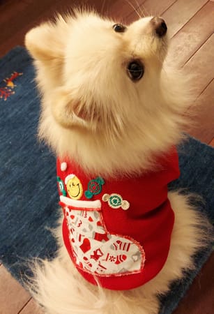 にこママさんの作品