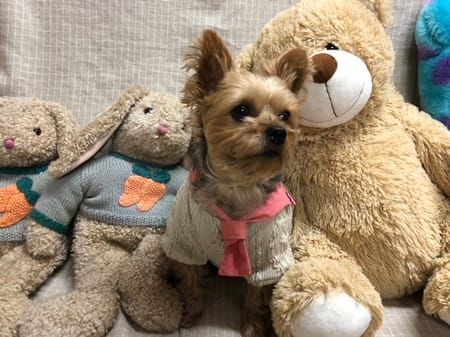 Keyakiさんの作品