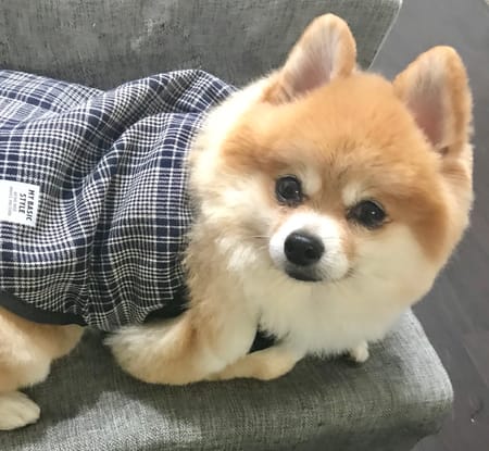 tamaharuさんの作品