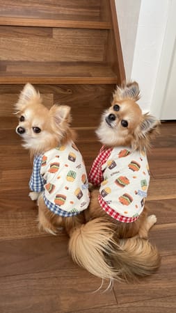 anirokitchenさんの作品