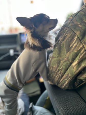 バッシーさんの作品