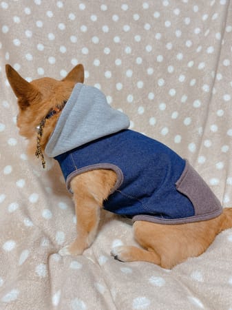 sHinoさんの作品