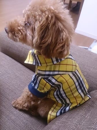 kaorunさんの作品